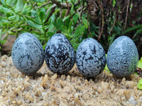 Polished Snowflake Obsidion Gemstone Eggs - Sold Per Item - From Mexico