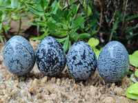 Polished Snowflake Obsidion Gemstone Eggs - Sold Per Item - From Mexico