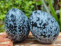 Polished Snowflake Obsidion Gemstone Eggs - Sold Per Item - From Mexico