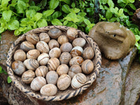 Polished Small Namibian Desert Picture Stone Jasper Eggs - Sold Per Item - From Ais-Ais Namibia