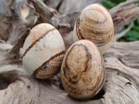 Polished Small Namibian Desert Picture Stone Jasper Eggs - Sold Per Item - From Ais-Ais Namibia