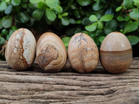 Polished Small Namibian Desert Picture Stone Jasper Eggs - Sold Per Item - From Ais-Ais Namibia