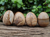 Polished Small Namibian Desert Picture Stone Jasper Eggs - Sold Per Item - From Ais-Ais Namibia