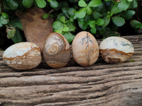 Polished Small Namibian Desert Picture Stone Jasper Eggs - Sold Per Item - From Ais-Ais Namibia