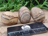 Polished Small Namibian Desert Picture Stone Jasper Eggs - Sold Per Item - From Ais-Ais Namibia