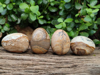 Polished Small Namibian Desert Picture Stone Jasper Eggs - Sold Per Item - From Ais-Ais Namibia