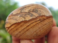 Polished Small Namibian Desert Picture Stone Jasper Eggs - Sold Per Item - From Ais-Ais Namibia