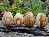 Polished Small Namibian Desert Picture Stone Jasper Eggs - Sold Per Item - From Ais-Ais Namibia