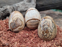 Polished Small Namibian Desert Picture Stone Jasper Eggs - Sold Per Item - From Ais-Ais Namibia