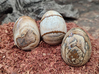 Polished Small Namibian Desert Picture Stone Jasper Eggs - Sold Per Item - From Ais-Ais Namibia