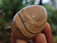 Polished Small Namibian Desert Picture Stone Jasper Eggs - Sold Per Item - From Ais-Ais Namibia