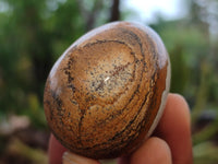 Polished Small Namibian Desert Picture Stone Jasper Eggs - Sold Per Item - From Ais-Ais Namibia