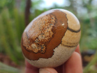 Polished Small Namibian Desert Picture Stone Jasper Eggs - Sold Per Item - From Ais-Ais Namibia