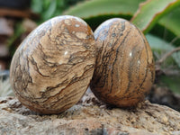 Polished Small Namibian Desert Picture Stone Jasper Eggs - Sold Per Item - From Ais-Ais Namibia