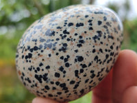 Polished Dalmatian Jasper Gemstone Eggs - Sold Per Item - From Chihuahua Mexico