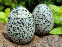 Polished Dalmatian Jasper Gemstone Eggs - Sold Per Item - From Chihuahua Mexico