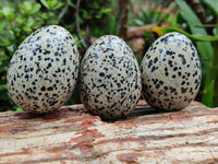 Polished Dalmatian Jasper Gemstone Eggs - Sold Per Item - From Chihuahua Mexico