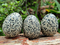 Polished Dalmatian Jasper Gemstone Eggs - Sold Per Item - From Chihuahua Mexico