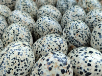 Polished Dalmatian Jasper Gemstone Eggs - Sold Per Item - From Chihuahua Mexico