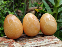 Polished Honey Aragonite Gemstone Eggs - Sold Per Item - From Namibia