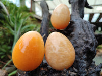 Polished Honey Aragonite Gemstone Eggs - Sold Per Item - From Namibia