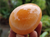 Polished Honey Aragonite Gemstone Eggs - Sold Per Item - From Namibia