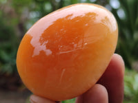 Polished Honey Aragonite Gemstone Eggs - Sold Per Item - From Namibia