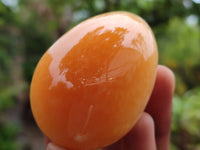 Polished Honey Aragonite Gemstone Eggs - Sold Per Item - From Namibia