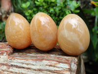 Polished Honey Aragonite Gemstone Eggs - Sold Per Item - From Namibia