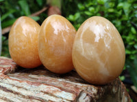 Polished Honey Aragonite Gemstone Eggs - Sold Per Item - From Namibia