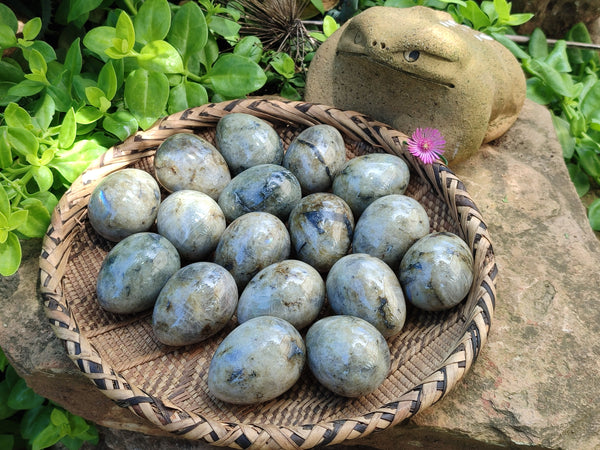 Polished White Labradorite Eggs - Sold Per Item - From Madagascar