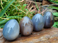 Polished Translucent Multicolor Banded Agate Eggs - Sold Per Item - From Madagascar