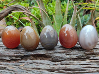 Polished Translucent Multicolor Banded Agate Eggs - Sold Per Item - From Madagascar