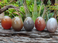 Polished Translucent Multicolor Banded Agate Eggs - Sold Per Item - From Madagascar