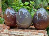 Polished Translucent Multicolor Banded Agate Eggs - Sold Per Item - From Madagascar