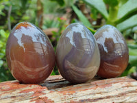 Polished Translucent Multicolor Banded Agate Eggs - Sold Per Item - From Madagascar