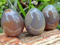 Polished Translucent Multicolor Banded Agate Eggs - Sold Per Item - From Madagascar