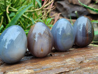 Polished Translucent Multicolor Banded Agate Eggs - Sold Per Item - From Madagascar