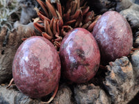 Polished Small Rhodonite Gemstone Eggs - Sold Per Item - From Zimbabwe