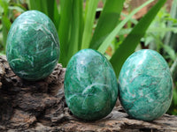 Polished Large Buddstone Eggs - Sold Per Item - From Swaziland