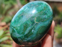 Polished Large Buddstone Eggs - Sold Per Item - From Swaziland