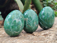 Polished Large Buddstone Eggs - Sold Per Item - From Swaziland