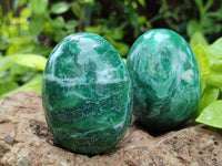 Polished Large Buddstone Eggs - Sold Per Item - From Swaziland