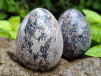 Polished Large Snakeskin Rhyolite Jasper Gemstone Eggs - Sold Per Item - From Australia