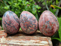 Polished Large Snakeskin Rhyolite Jasper Gemstone Eggs - Sold Per Item - From Australia