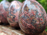 Polished Large Snakeskin Rhyolite Jasper Gemstone Eggs - Sold Per Item - From Australia