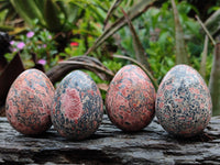 Polished Large Snakeskin Rhyolite Jasper Gemstone Eggs - Sold Per Item - From Australia