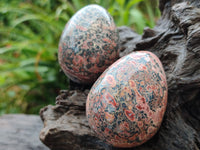 Polished Large Snakeskin Rhyolite Jasper Gemstone Eggs - Sold Per Item - From Australia