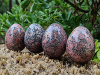 Polished Large Snakeskin Rhyolite Jasper Gemstone Eggs - Sold Per Item - From Australia