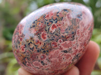 Polished Large Snakeskin Rhyolite Jasper Gemstone Eggs - Sold Per Item - From Australia